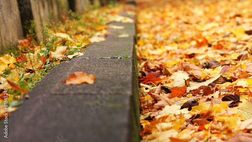 Colorful autumn leafs.