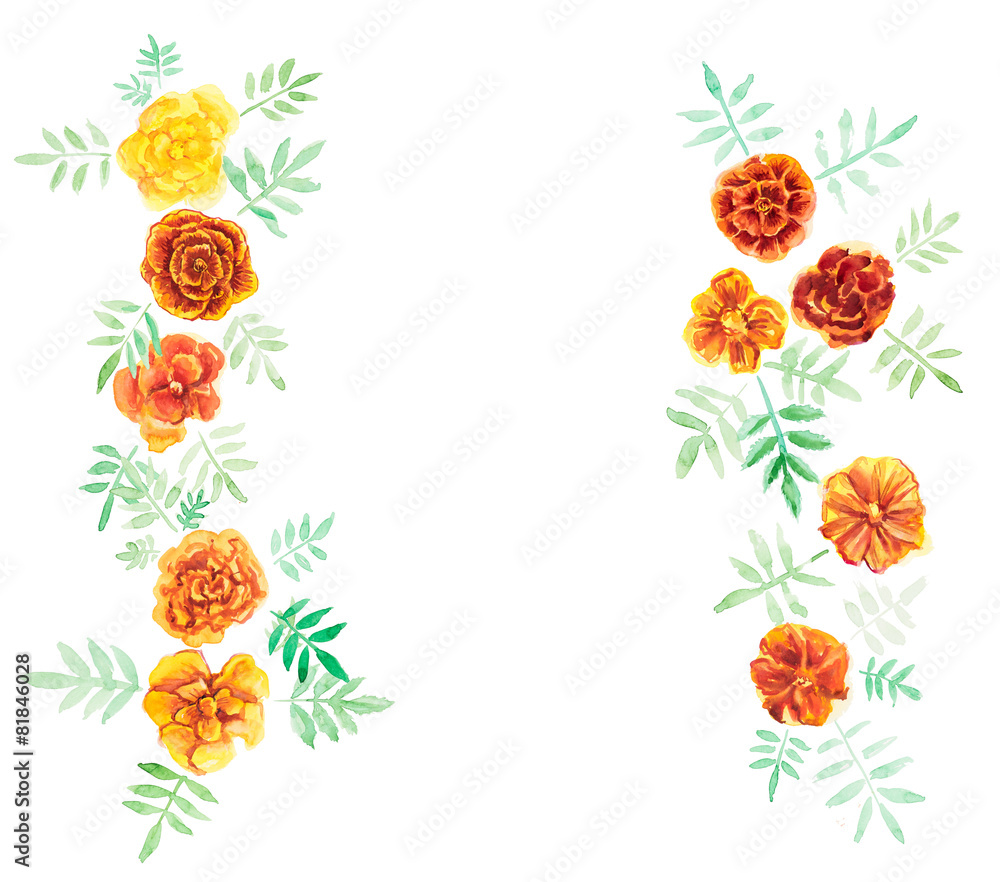 Frame from marigolds. Frame from marigolds.