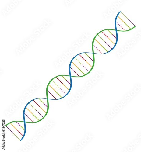 dna spiral