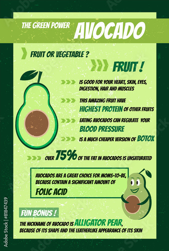 Beautiful modern avocado infographic flat design