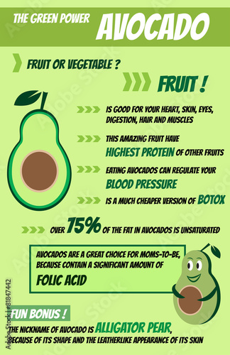 Beautiful modern avocado infographic flat design