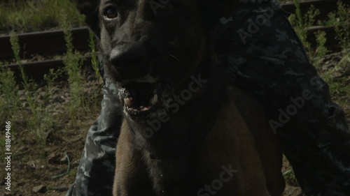 aggressive police dog barks