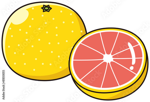 グレープフルーツ赤