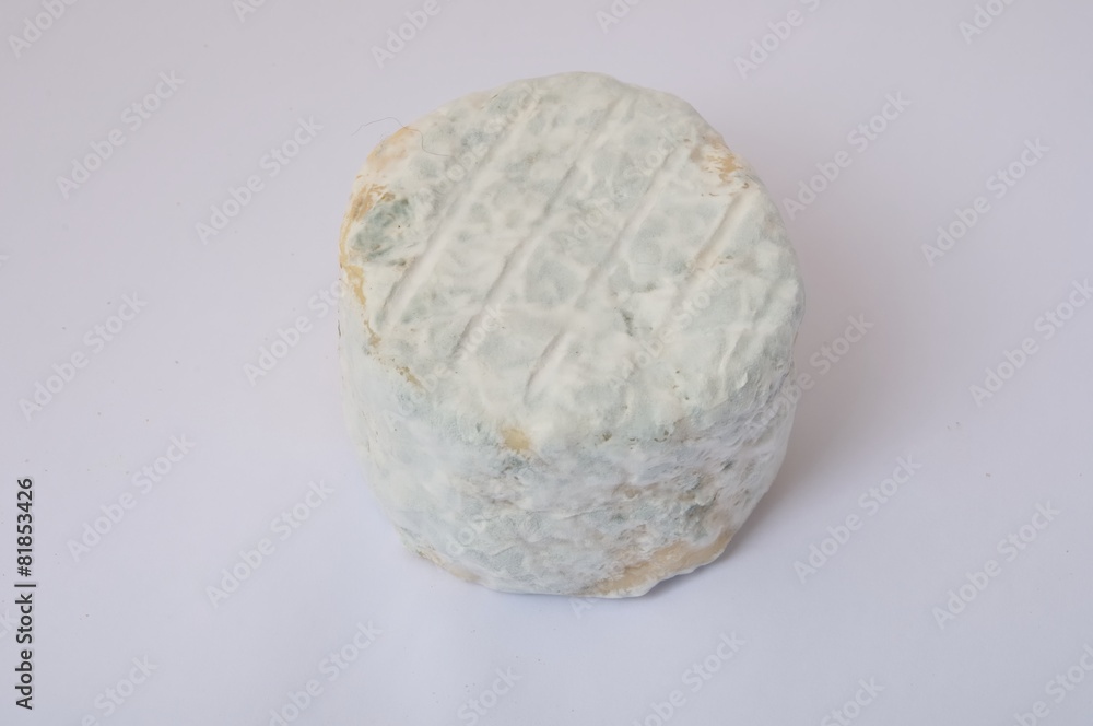 Close-up on goat cheese Close-up on goat cheese