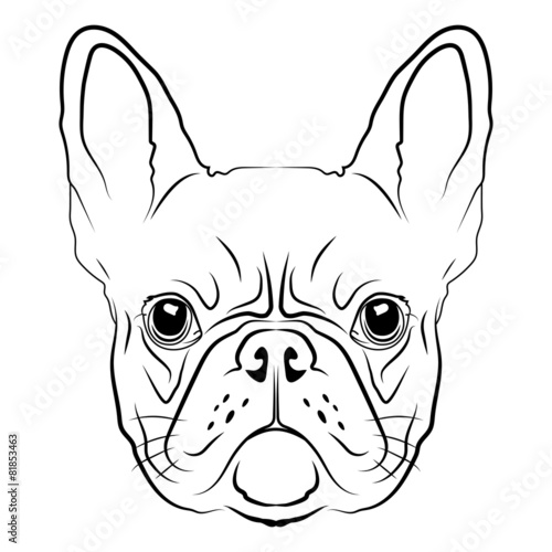 French Bulldog head logo or icon in white.