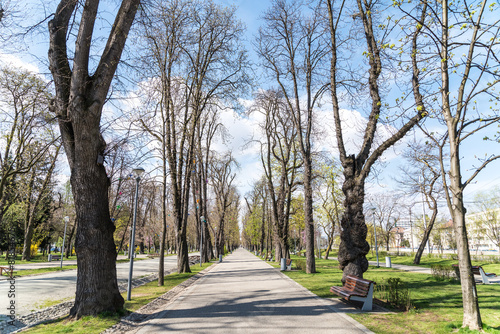 Spring In Central Park Of Cluj Napoca City, Romania