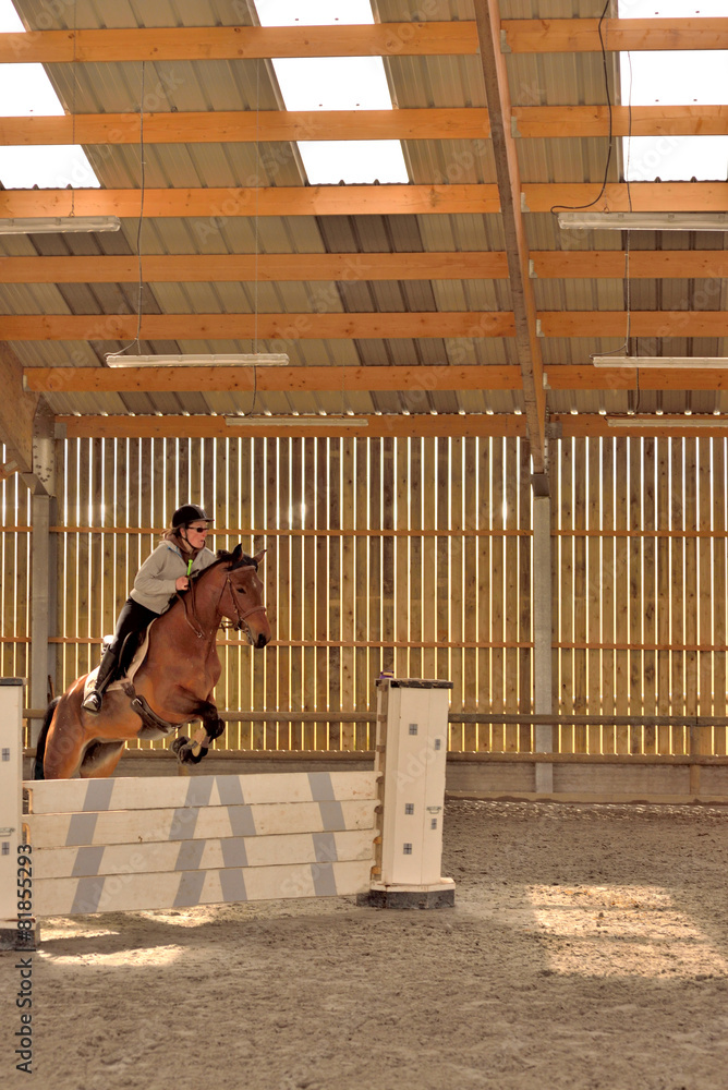 Fototapeta premium cso
