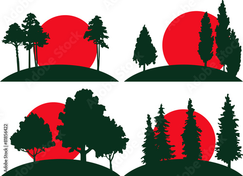 set of landscapes with trees and risisng sun