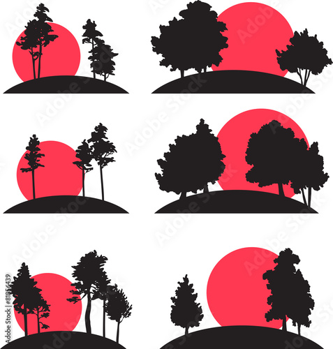 set of landscapes with trees and risisng sun
