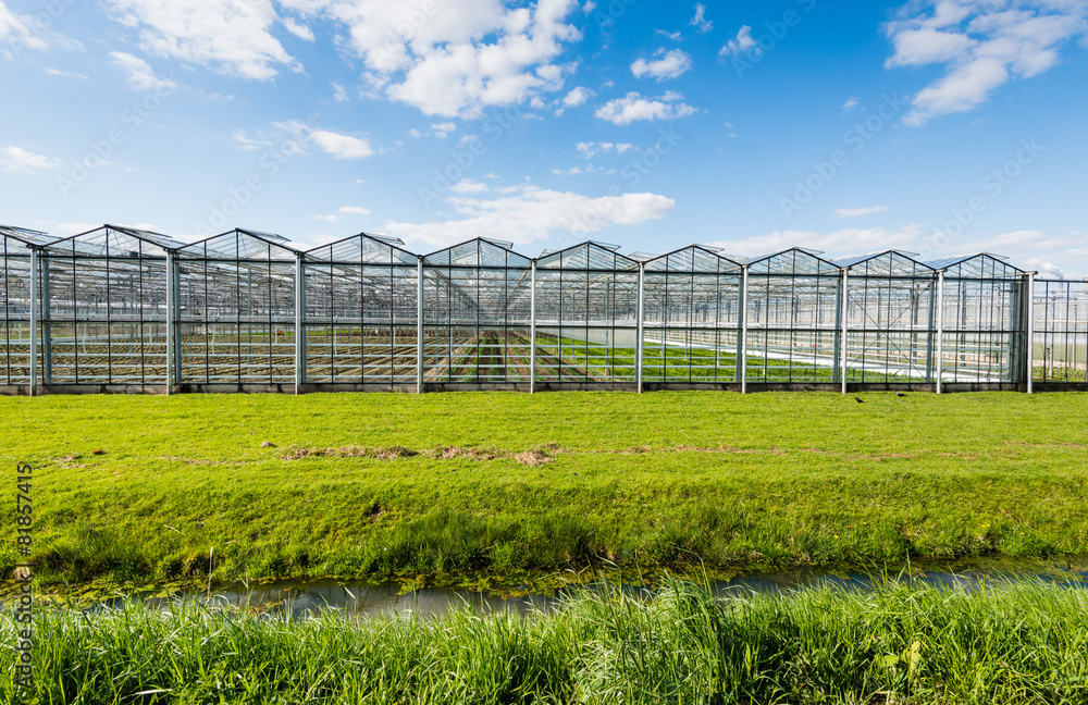 Modern and transparent greenhouse on the outside Modern and transparent greenhouse on the outside
