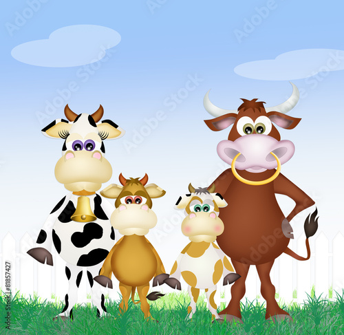 family of cows
