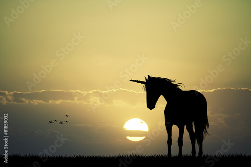 unicorn at sunset