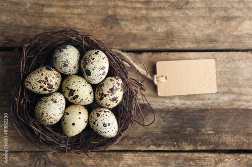 Bird eggs in nest on wooden background