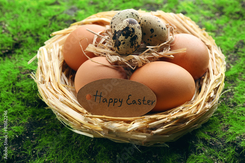 Bird eggs in nest on green grass background