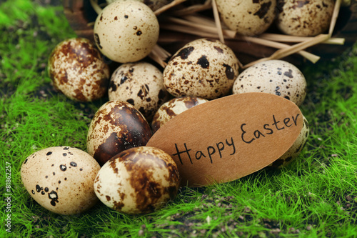 Bird eggs in wooden bucket on green grass background