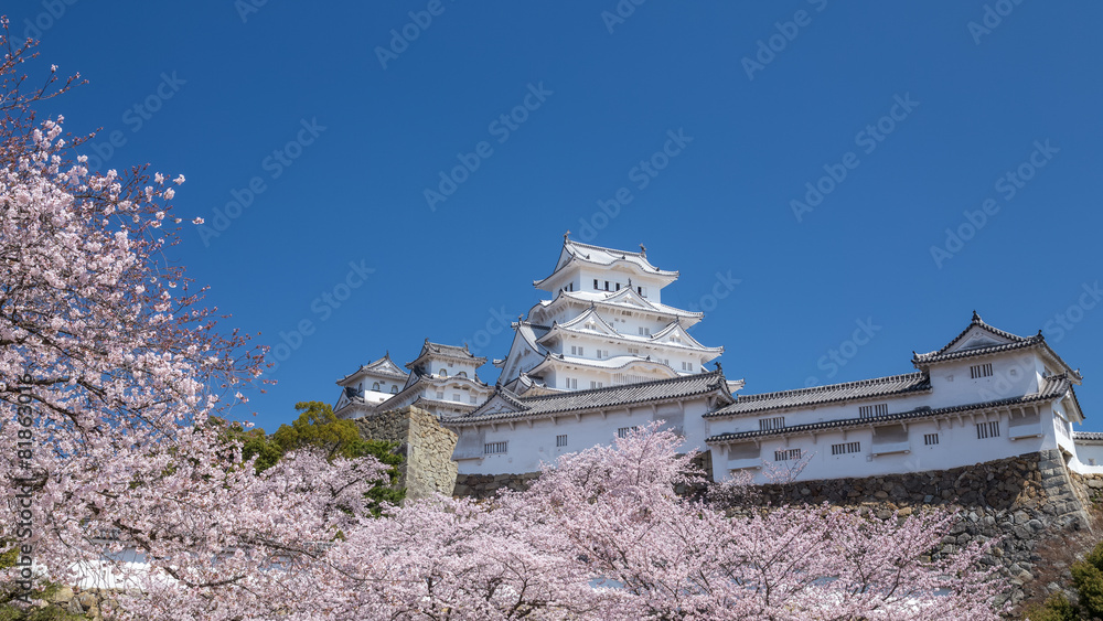 春の姫路城