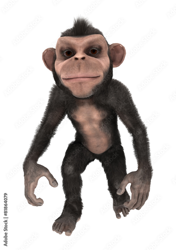 Little Chimp Little Chimp