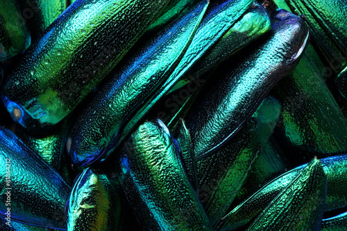 Metallic wings texture