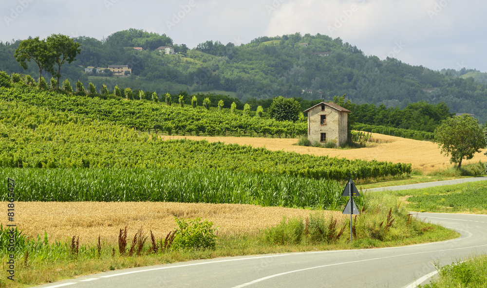 Summer landscape in Monferrato (Italy) Summer landscape in Monferrato (Italy)