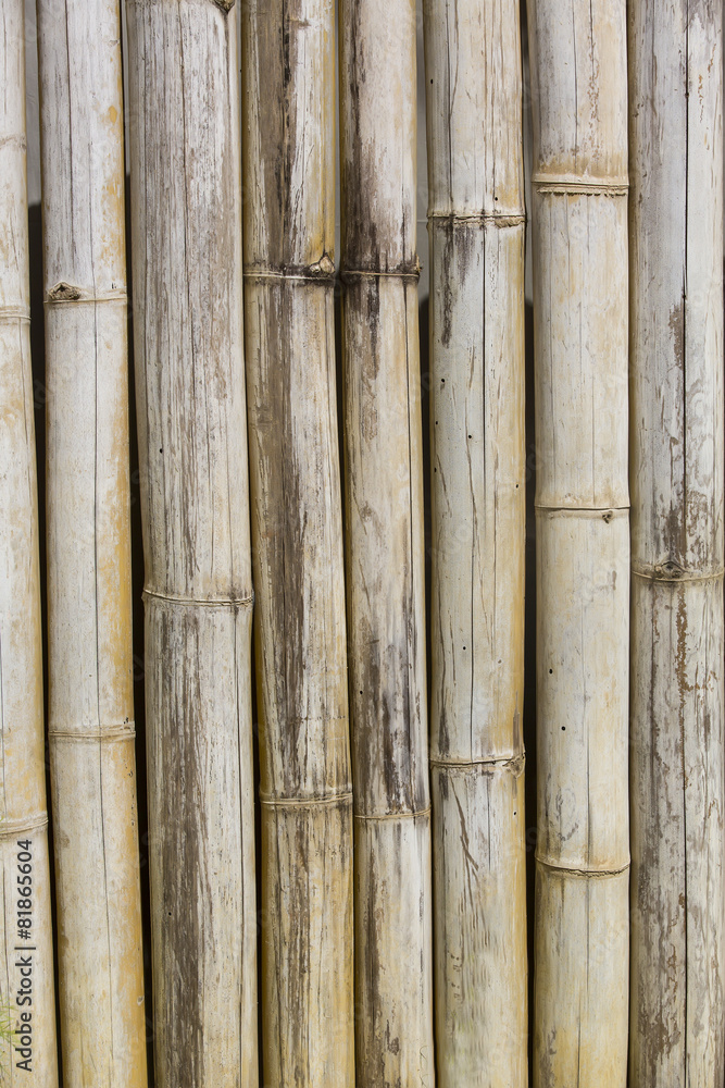 bamboo background of bamboo sticks arranged in a row bamboo background of bamboo sticks arranged in a row