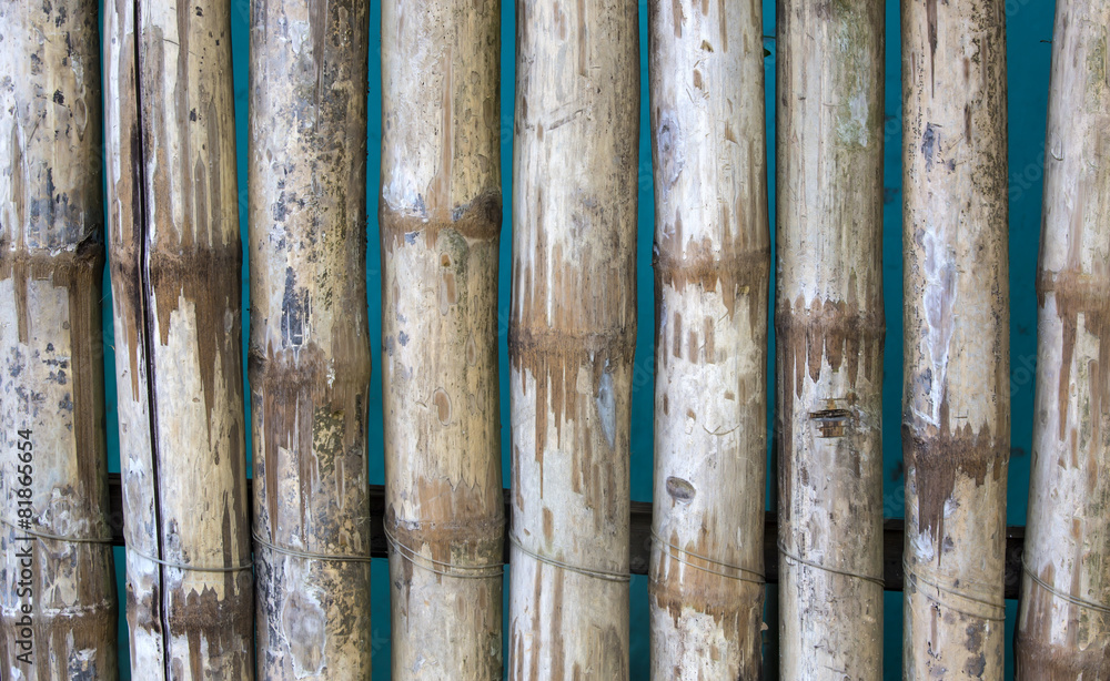 bamboo background of bamboo sticks arranged in a row bamboo background of bamboo sticks arranged in a row