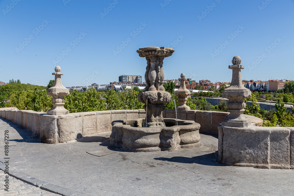 Fototapeta premium Jardines de Madrid-río