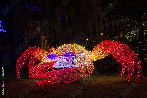 Fototapeta Christmas Lights Crab