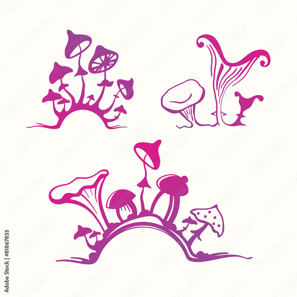 Mushrooms Mushrooms