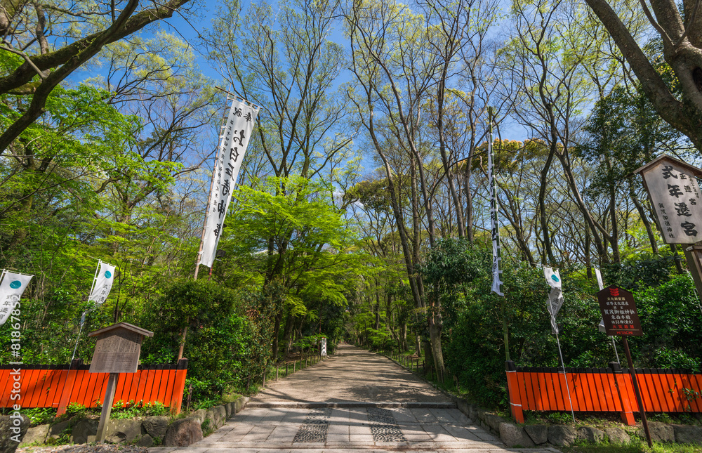 京都 下鴨神社 表参道 Stock Photo Adobe Stock