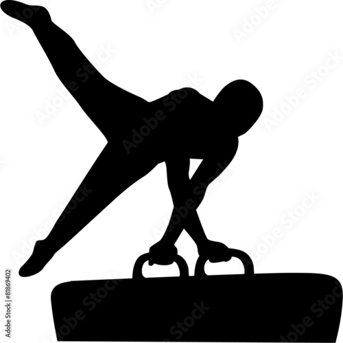 Pummel horse gymnastics