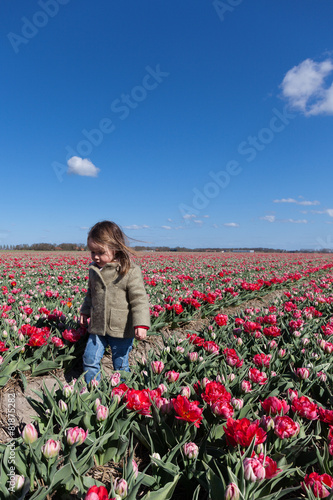 Little girl walking trough red tulip field