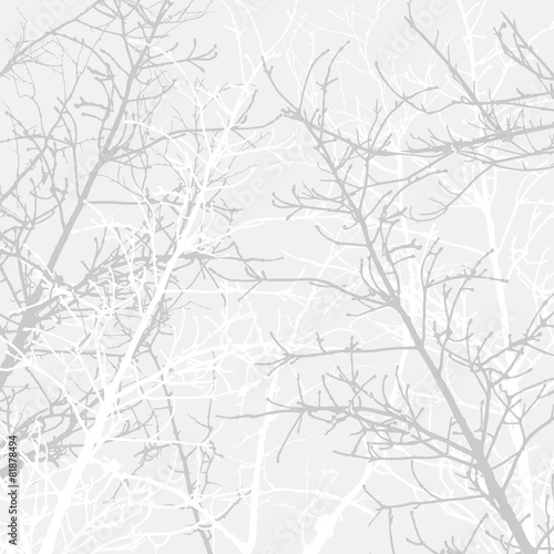 Branches texture pattern. Soft background.