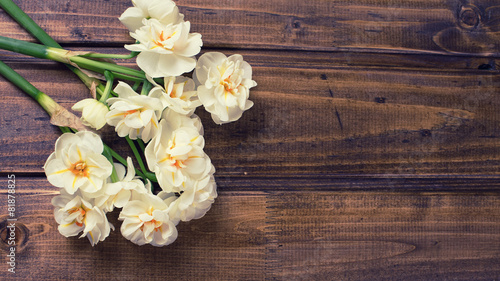 Background with fresh daffodils © daffodilred