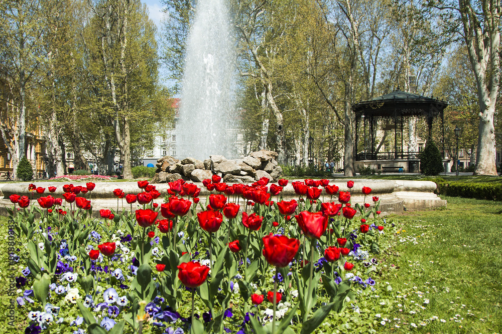 Fototapeta premium Tulips and music pavilion in Zrinjevac park in Zagreb