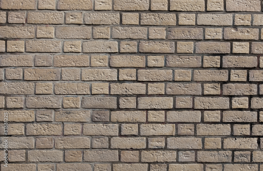 Fototapeta premium Brick wall
