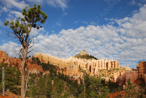 Obraz na plátně Bryce Canyon - Fairyland Loop