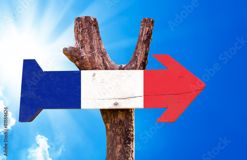 France Flag wooden sign with sky background