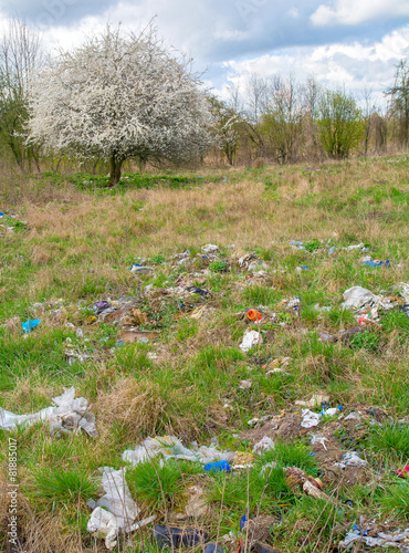 Obraz na płótnie Landfill and tree w salonie