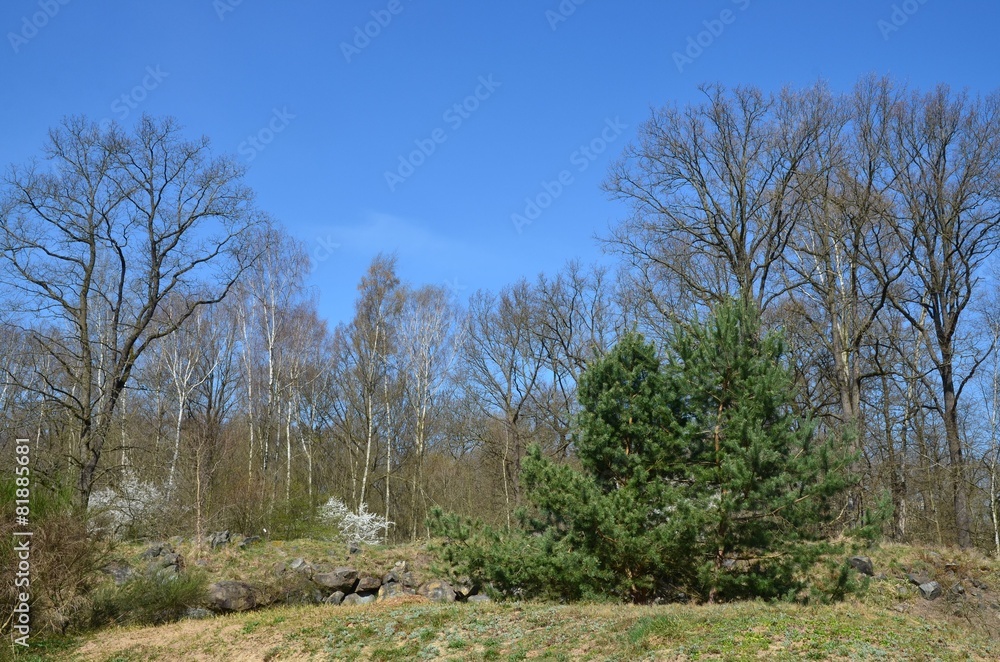 Idyllische Landschaft im Frühling Idyllische Landschaft im Frühling