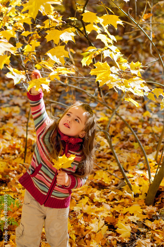Little girl plucks leaves in autumn park