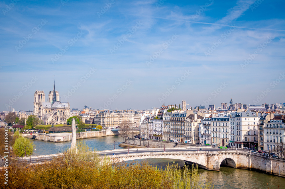 Obraz premium Paris la Seine
