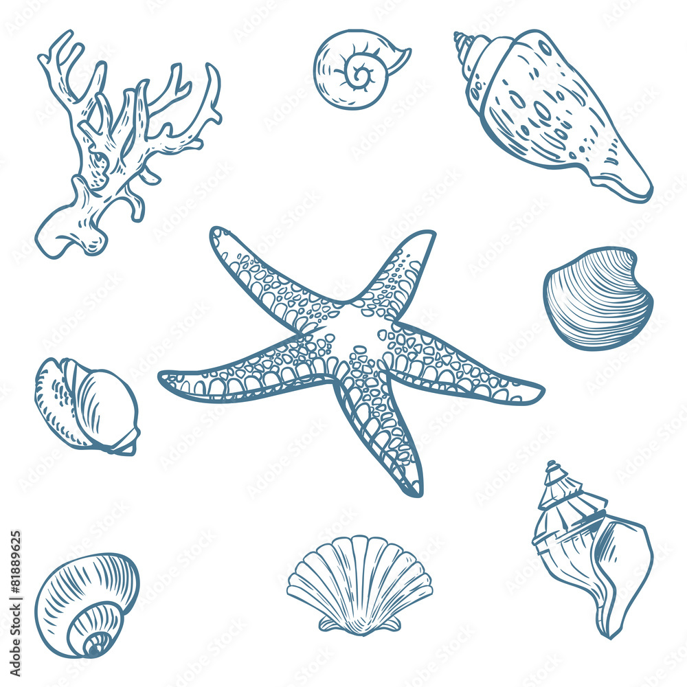 Vector set of sea fauna