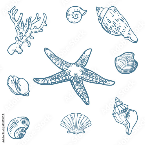 Vector set of sea fauna