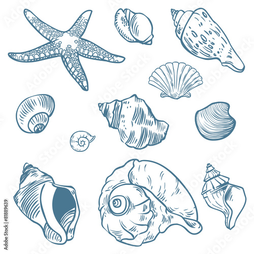Vector set of sea fauna