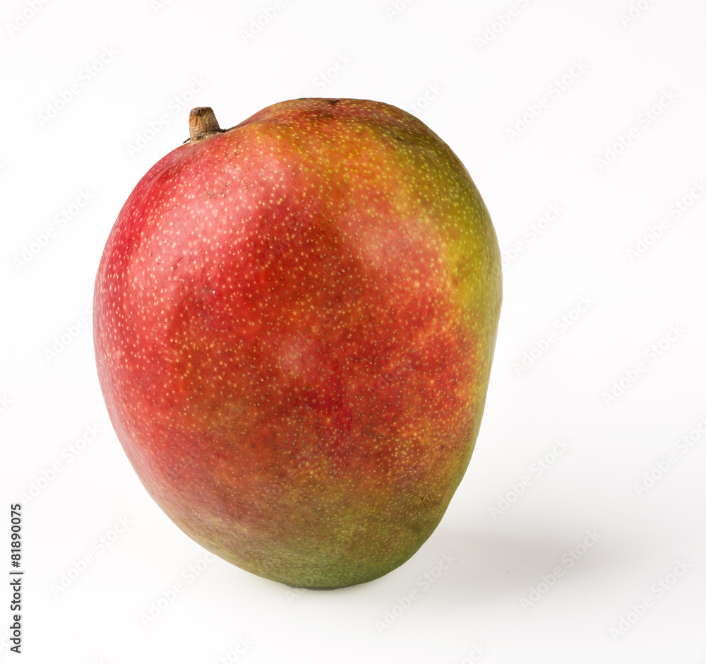 mangue mangue