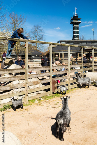 Photography Copenhagen Zoological Garden