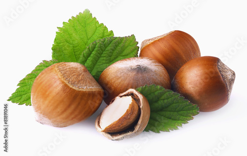 Hazelnuts with leaves on a white.