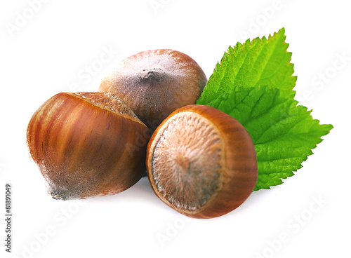 Hazelnuts with leaves on a white.