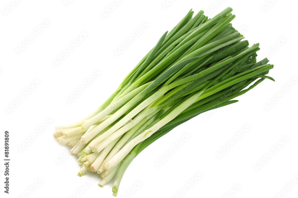 green onion isolated green onion isolated