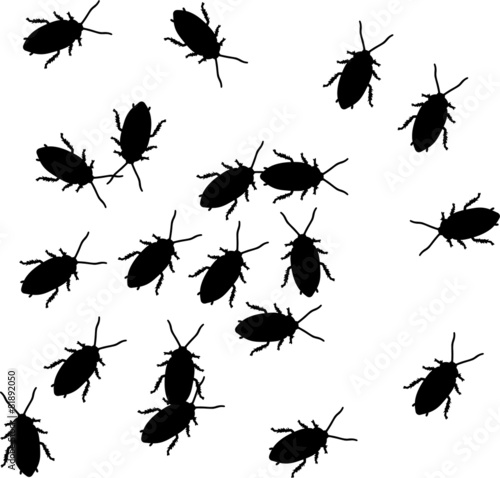 Cockroaches